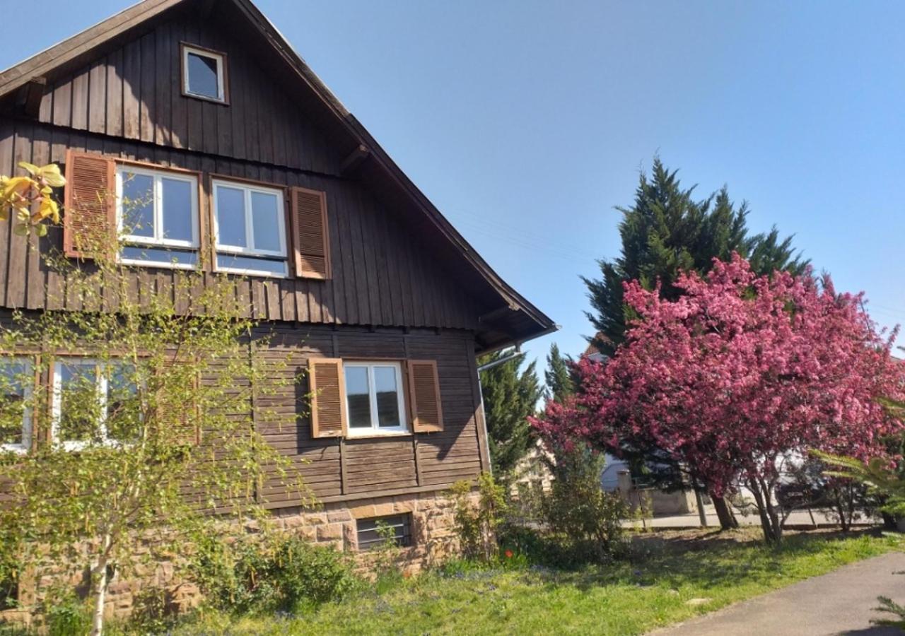 A La Vieille Faience Appartement Wintzenheim Buitenkant foto